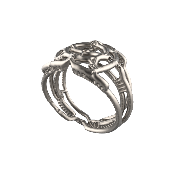 Anello Alienite Orbit
